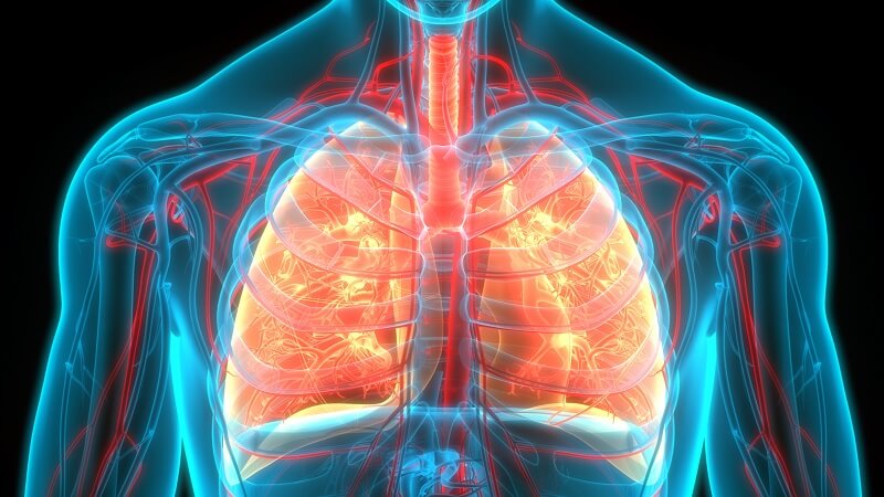 BioCode® CoV-2 Flu Plus Assay