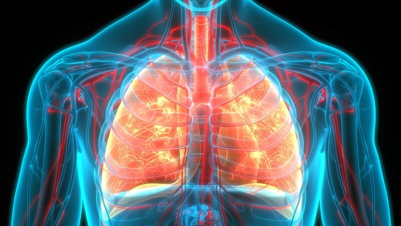 Respiratory Pathogen Panel