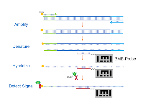 Barcoded Magnetic Beads Technology