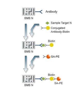 數位生物條碼(BMB)技術