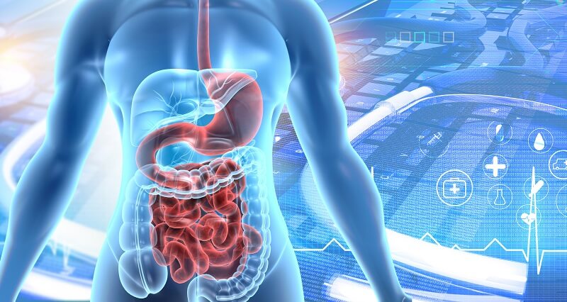 Gastrointestinal Pathogen Panel