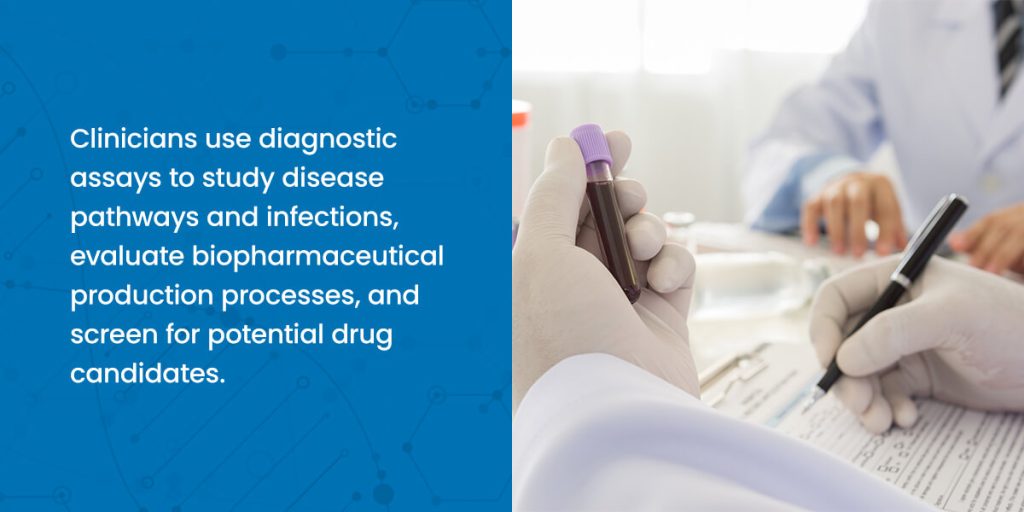 What Are Molecular Diagnostic Assay Kits Used For?