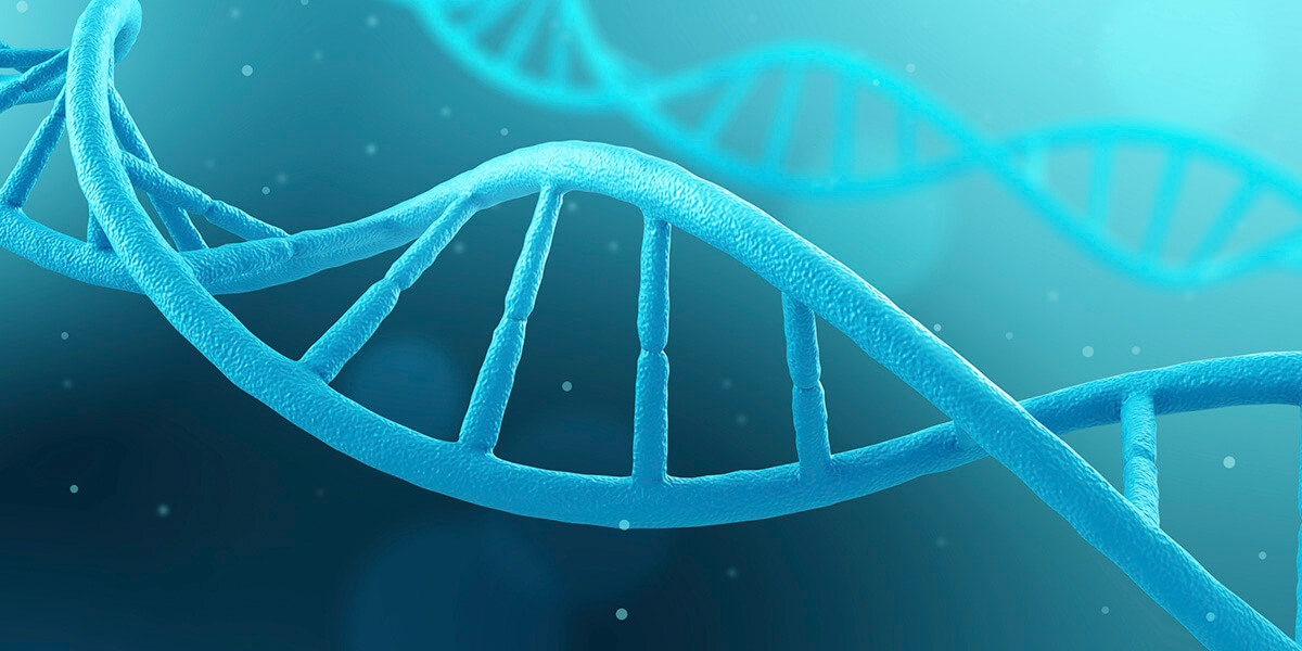 A Guide to Molecular Diagnostics