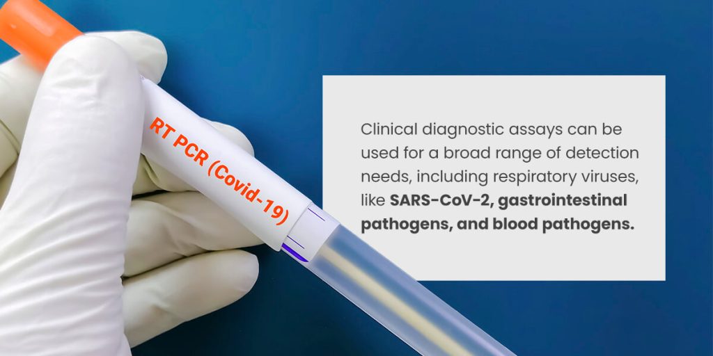 What Is a SARS-CoV-2 Assay?