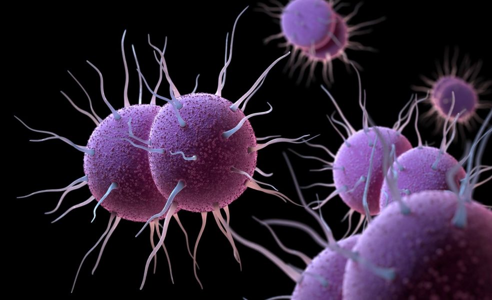 BioCode® CoV-2 Flu Plus Assay
