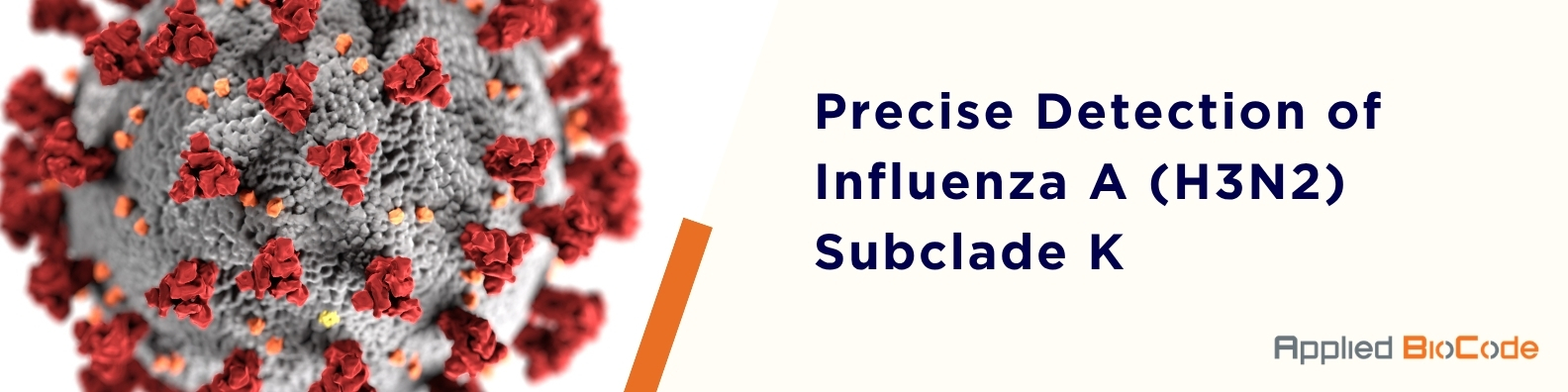Precise Detection of Influenza A (H3N2) Subclade K